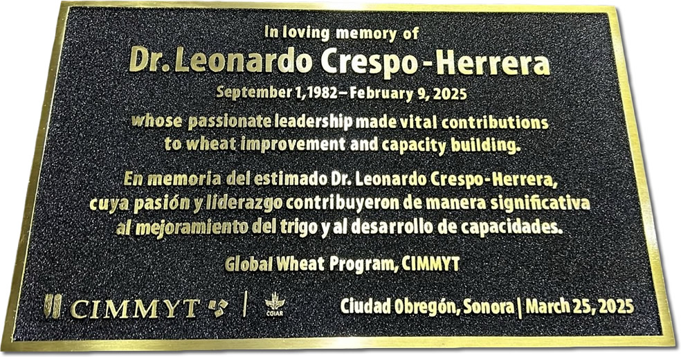 placas conmemorativas empresariales para Guadalajara